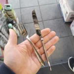 کارد و چنگال میوه خوری 12 پارچه رولنزا مدل A49 - Image 4
