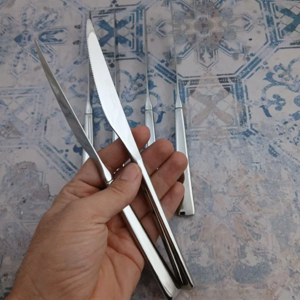 کارد استیک اس جی مدل 242m بسته 6 عددی - شیکاگو - Image 9