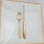 کارد و چنگال میوه خوری 12 پارچه رولنزا مدل A48W