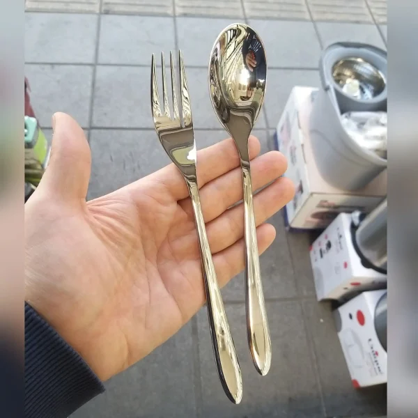 قاشق سرآشپز رولنزا مدل A49