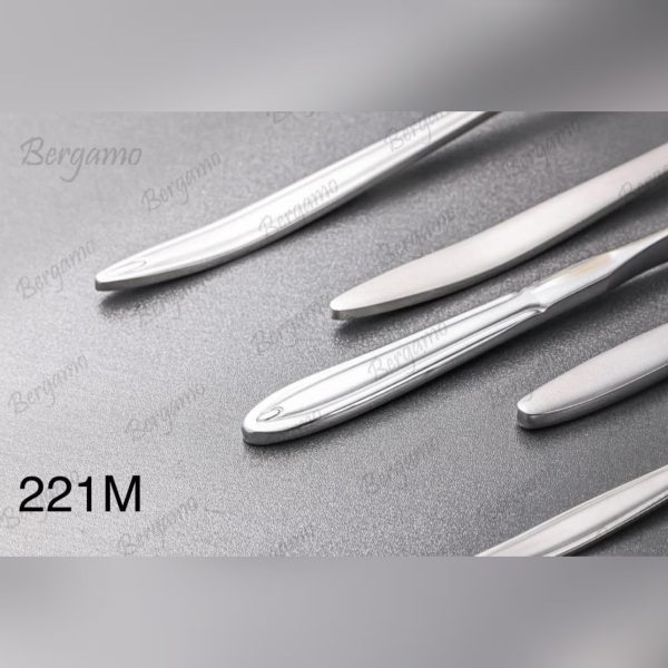 سرویس قاشق چنگال 160 پارچه برگامو مدل 221m